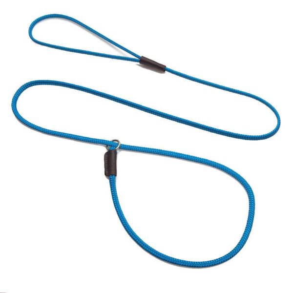 Mendota Show Slip Leash (Lightweight) BLUE