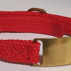 Mendota Products - ID Junior Dog Collar with Brass Tag - SIZES: 35CM   - Made in the USA - Red