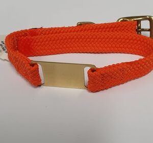 Mendota Products - ID Junior Dog Collar with Brass Tag - SIZES: 35CM   - Made in the USA - Orange