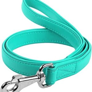 Waudog Leather Flat Clip Leash W9MM - L122CM MINT