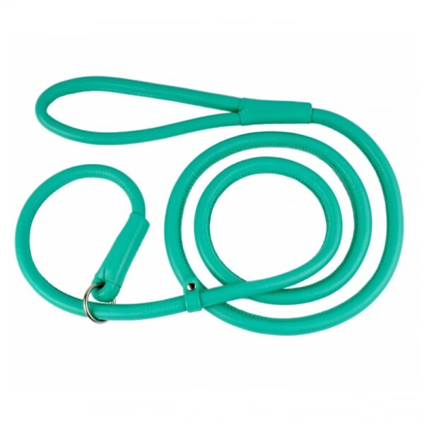 Waudog Leather Round Slip Leash W4MM- L183CM MINT