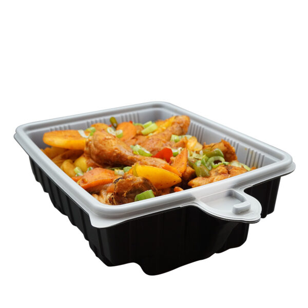 5 Pack Dalat Heating Lunch Box Container 33cm Rectangle