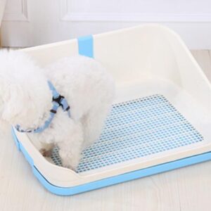 Medium Portable Dog Potty Training Tray Pet Puppy Toilet Trays Loo Pad Mat With Wall Blue