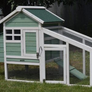 Green Small Chicken coop with nesting box for 2 Chickens / Rabbit Hutch