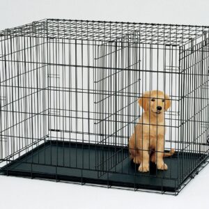 48' Collapsible Metal Dog Puppy Crate Cat Cage With Divider