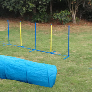 Portable Dog Puppy Training Practice Weave Poles Agility Post Exercise Tunnel Jump Tyre Set