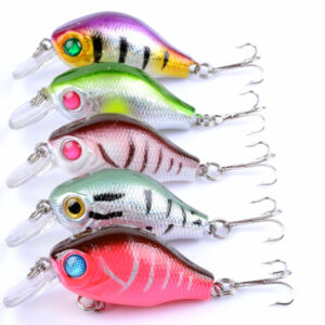 5x 5.5cm Popper Crank Bait Fishing Lure Lures Surface Tackle Saltwater