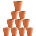 10x 5cm Flower Pot Pots Clay Ceramic Plant Drain Hole Succulent Cactus Nursery Planter