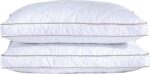 2 x King Size Pillow with free 2 x King pillow cases