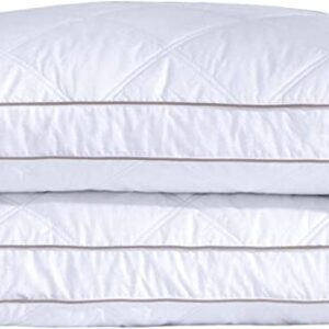 2 x King Size Pillow with free 2 x King pillow cases