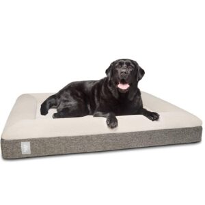 Ortho Orthopedic Dog Bed - Large