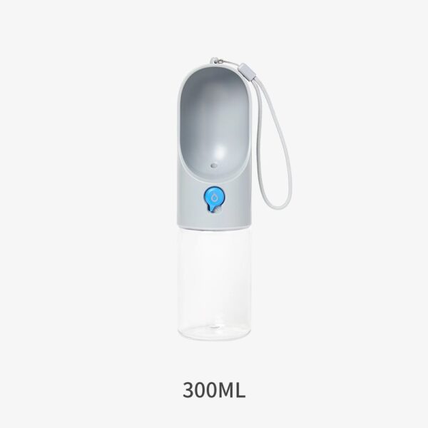 Eversweet Travel Water Bottle - Grey 300Ml