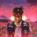 Juice Wrld Legends Never Die - Double Vinyl Album