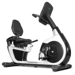 RBX-100 Commerical Recumbent Bike