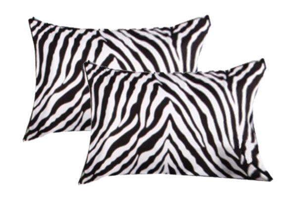 Accessorize 2 Pce  Standard Pillowcase