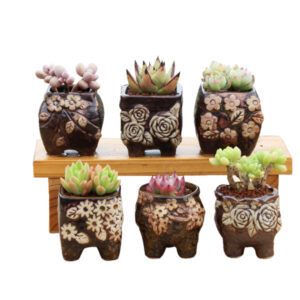 4/5/6 Pots Set Ceramic Clay Pottery Pots Succulent Flower Planter Draining Hole( 04# 6 Pots Set)