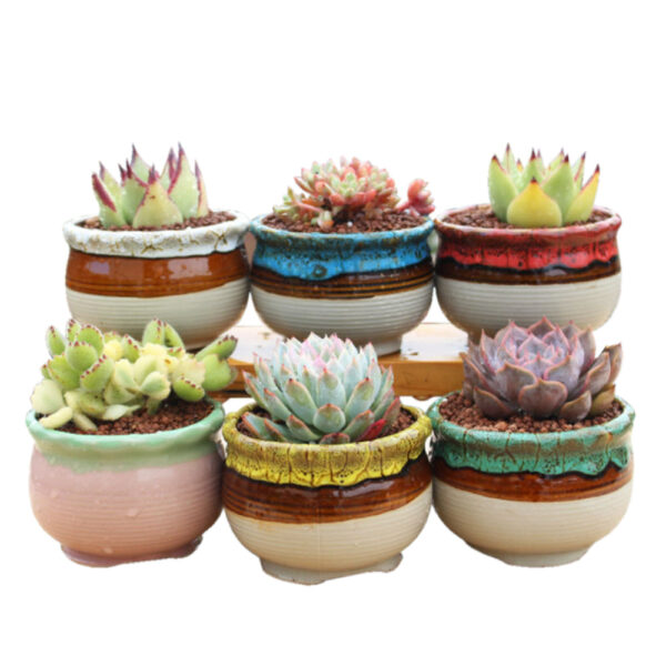 4/5/6 Pots Set Ceramic Clay Pottery Pots Succulent Flower Planter Draining Hole( 05# 6 Pots Set)