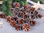 18 Christmas Natural Pine Cones Xmas Tree Hanging Home Decoration Ornament Gifts  18x Natural w Snow Covered Pinecones