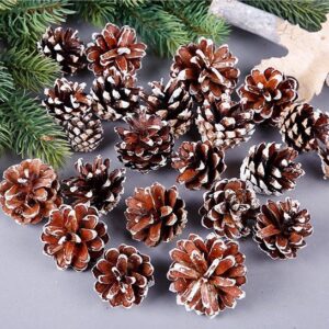 18 Christmas Natural Pine Cones Xmas Tree Hanging Home Decoration Ornament Gifts  18x Natural w Snow Covered Pinecones