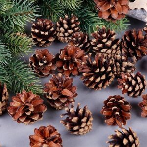 18 Christmas Natural Pine Cones Xmas Tree Hanging Home Decoration Ornament Gifts  18x Natural Pinecones