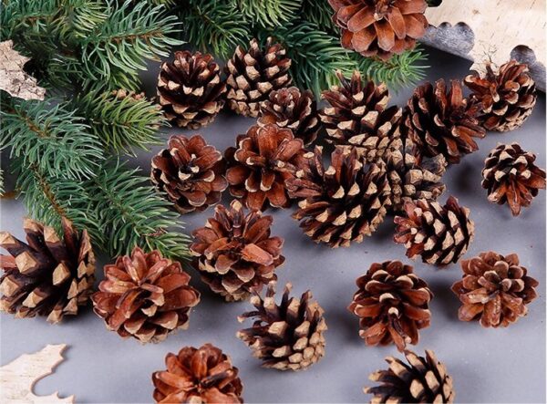 18 Christmas Natural Pine Cones Xmas Tree Hanging Home Decoration Ornament Gifts  18x Natural Pinecones