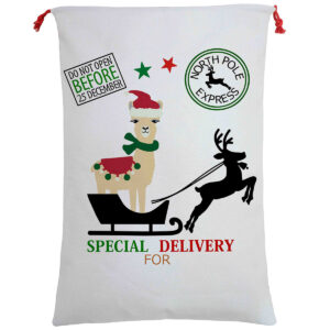 50x70cm Canvas Hessian Christmas Santa Sack Xmas Stocking Reindeer Kids Gift Bag  Special Delivery By Alpaca