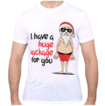 New Funny Adult Xmas Christmas T Shirt Tee Mens Womens 100% Cotton Jolly Ugly  I Have A Huge Package For You  2XL