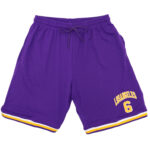 Men's Basketball Sports Shorts Gym Jogging Swim Board Boxing Sweat Casual Pants  Purple - Los Angeles 6  L