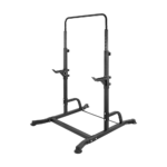 Bench Press Gym Rack and Chin Up Bar Sturdy Adjustable Free Standing Fitness Combo by Randy Travis Machinery