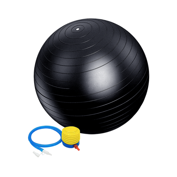 75cm Exercise Stability Ball with Pump