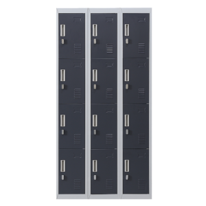 12 Door Locker for Office Gym Shed School Home Storage Padlock operated Grey with Charcoal Door Durable Steel 30kg Capacity