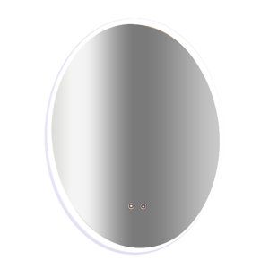 Oval Mirror LED Anti Fog Illuminated Bathroom Living Room Wall Mount 60x80cm 5mm