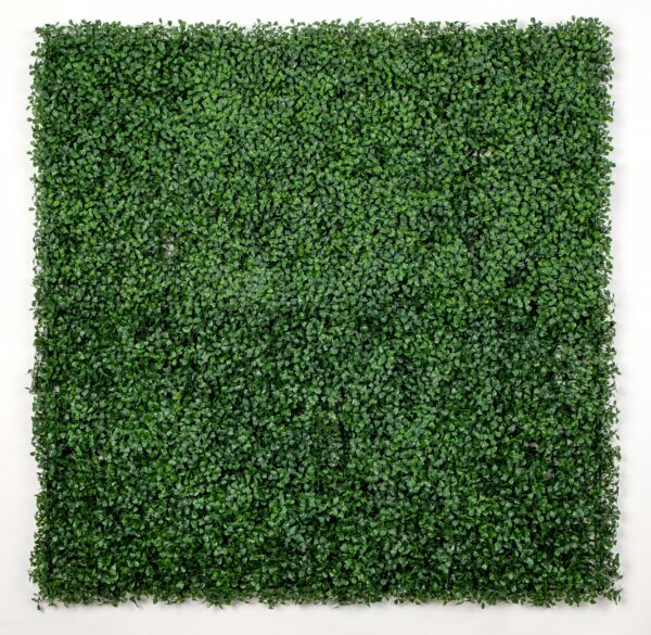 Artificial Boxwood Hedge Screens / Walls UV Stabilized Easy DIY High Quality 1m x 1m