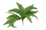 Artificial Fern Stem UV for Vertical Gardens 20cm x 40cm Easy to Attach No Pot