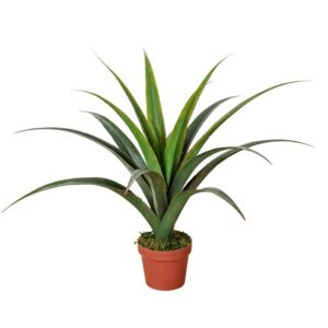 Artificial Dracaena Plant 80cm Compact Green Leaves Indoor Use No Numbers