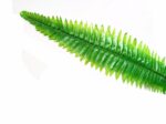 Artificial Boston Hanging Fern 102cm Lively Foliage Vertical Garden Office Decor