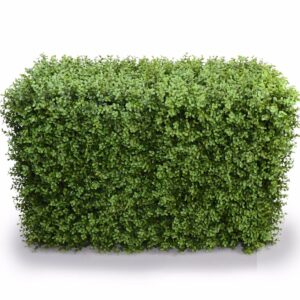 Deluxe Portable Buxus Hedges UV Stabilised 100cm Long X 55cm High Instant Results Lifelike Appearance Lightweight