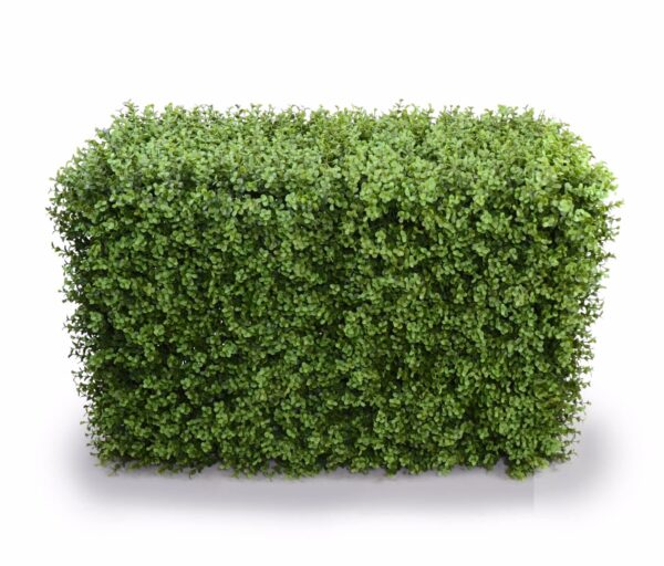 Deluxe Portable Buxus Hedges UV Stabilised 100cm Long X 55cm High Instant Results Lifelike Appearance Lightweight