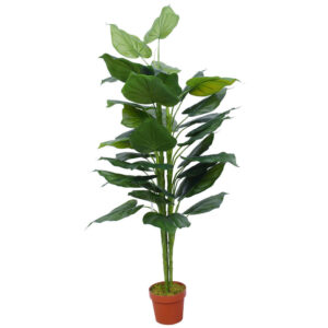 Artificial Taro Plant 150cm Lush Foliage Botanically Correct Ideal for Home or Office