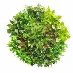 Artificial Green Wall Disk Art 80cm Mixed Fern