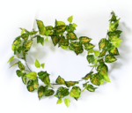 Mixed Yellow Red Pothos Garland 190cm Lifelike Foliage for Kitchen Bathroom & Outdoor