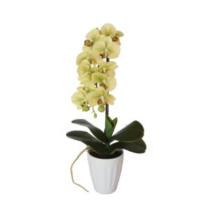 40cm Artificial Butterfly Orchid Cream