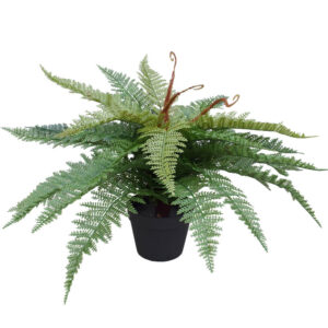 Artificial Potted Fishtail Fern 55cm Tropical Look Compact & Stunning Greenery