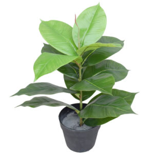 Artificial Potted Rubber Plant 55cm Monstera Split Philodendron Fuss Free Replica