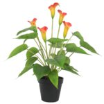 Artificial Flowering White & Orange Peace Lily / Calla Lily Plant 50cm Real Touch