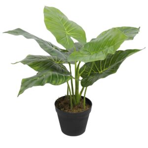 Artificial Potted Taro Plant / Elephant Ear 55cm Stunning Faux Desk Plant for Indoors Compact & Elegant