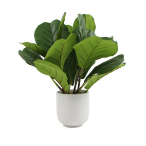 Artificial Fiddle Leaf Fig Plant Elegant Home Decor Eco Friendly Indoor Outdoor