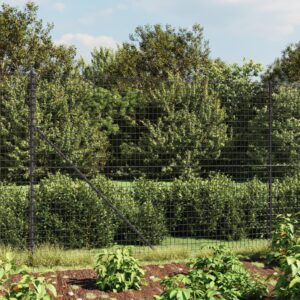 Galvanized PVC Coated Steel Wire Mesh Fence with Spike Anchors Outdoor