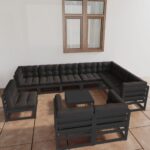 11 Piece Garden Lounge Set with Cushions Black Solid Pinewood