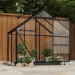 Glass Greenhouse Anthracite 155x103x191 cm Aluminium